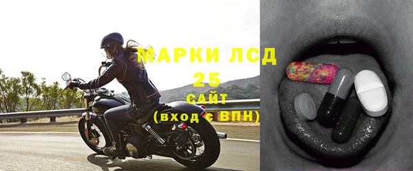 apvp Верея