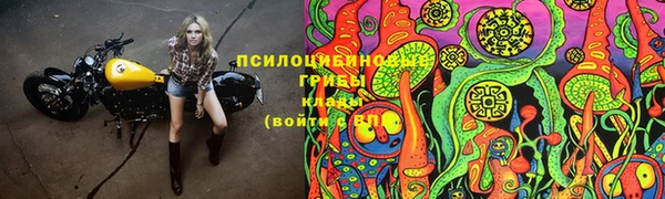 apvp Верея