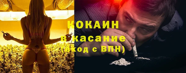 apvp Верея
